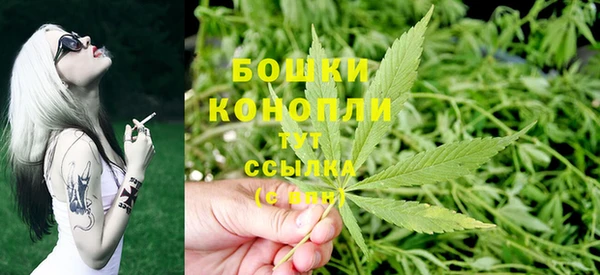 ГАЛЛЮЦИНОГЕННЫЕ ГРИБЫ Куйбышев