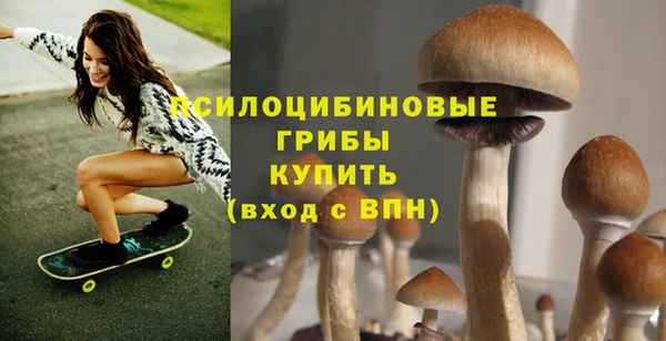 мет Ладушкин