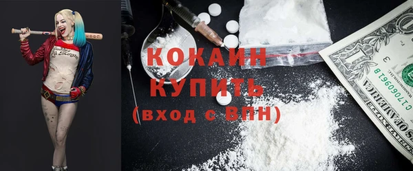 гидропоника Каменка