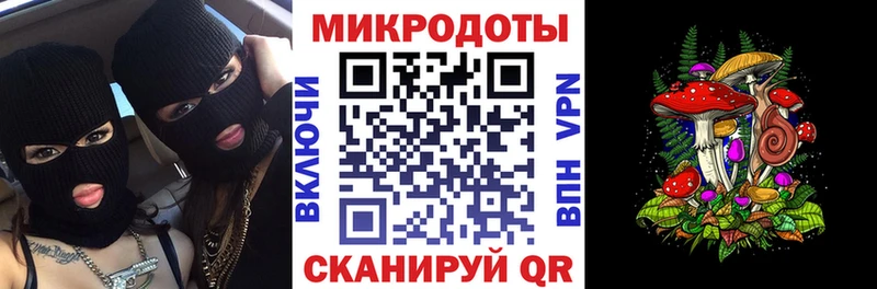Псилоцибиновые грибы Psilocybine cubensis Пошехонье